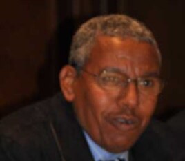 General Mesfin and Berhan Hagos save Akele Guzay now - Page 3 - Mereja