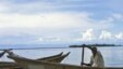 Uganda’s Oil Threatens One of Africa’s Most Biodiverse Zones