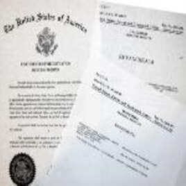 dozortsev u0026 sons