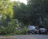 Washington Area Storm Knocks Out Power to 1.5 Million Homes