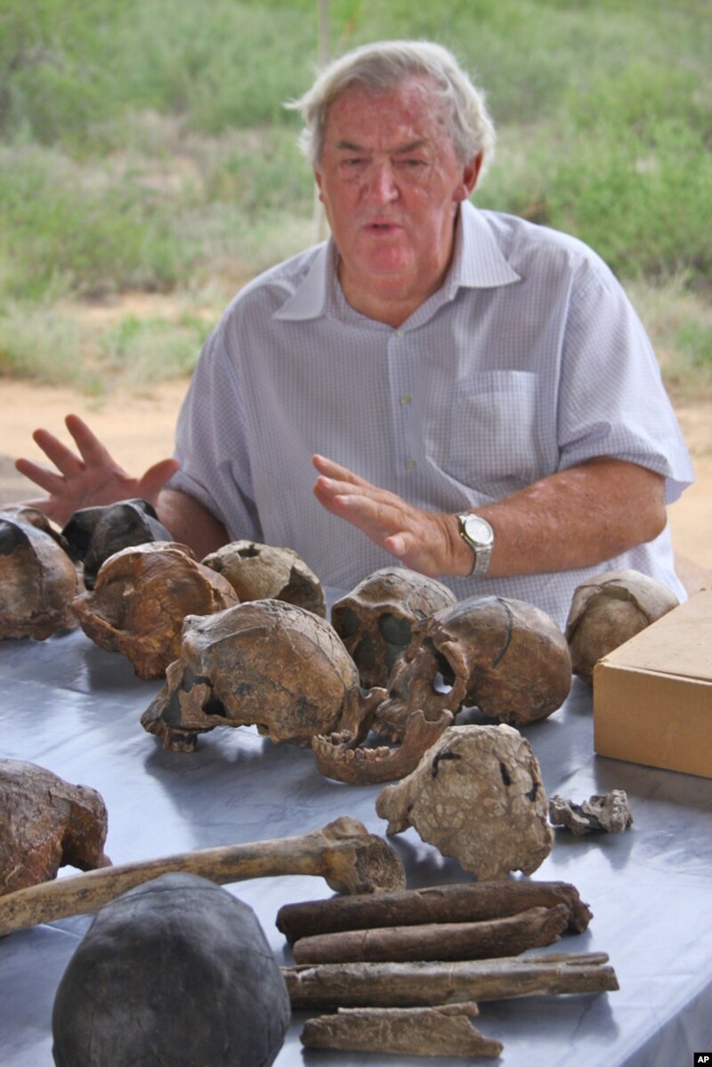 Hominid fossil casts on exhibit at Turkana Basin Institute's Ileret research facility, northern Kenya, 2008.