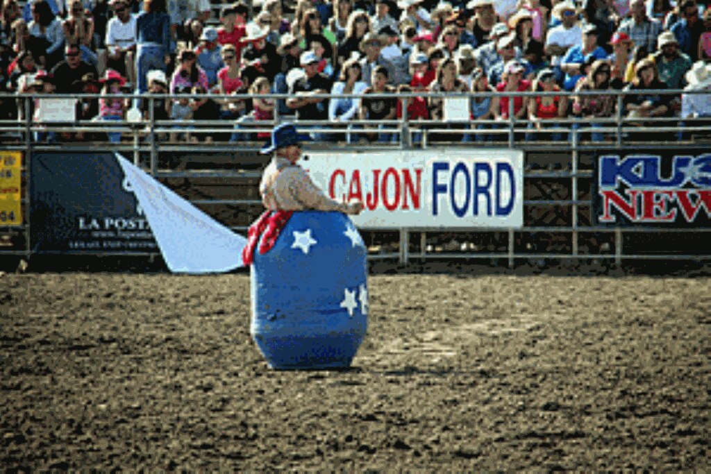 Rodeo Bullfighting